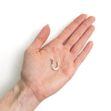 Lucky Horseshoe