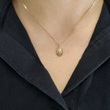 Endless Summer Shell