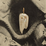 Ghost (5)