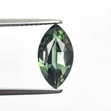 1.67ct 11.13x6.11x3.55mm Marquise Brilliant Sapphire 27313-02