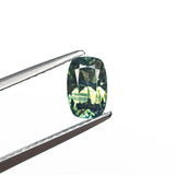 0.75ct 6.54x4.27x3.15mm Cushion Brilliant Sapphire 27336-10