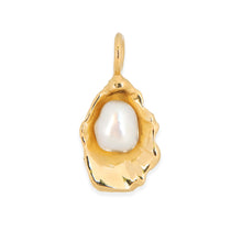 Load image into Gallery viewer, Oyster with Keshi Pearl
