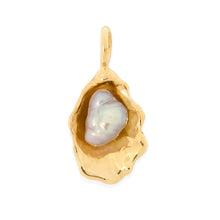 Load image into Gallery viewer, Oyster with Keshi Pearl
