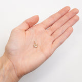Snail