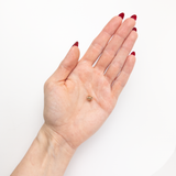 Coiled Snake Slider (Smooth)