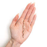 Long Snake